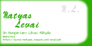 matyas levai business card